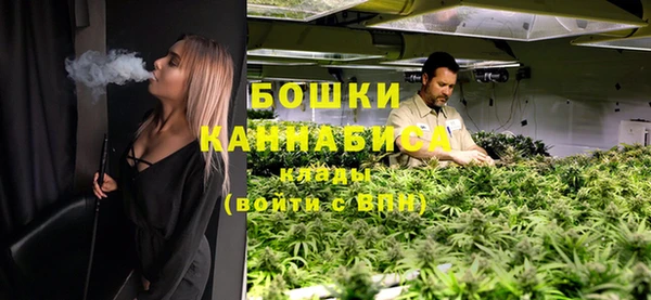 ГАЛЛЮЦИНОГЕННЫЕ ГРИБЫ Надым