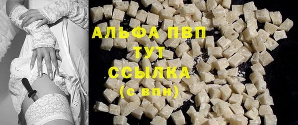 ГАЛЛЮЦИНОГЕННЫЕ ГРИБЫ Рославль