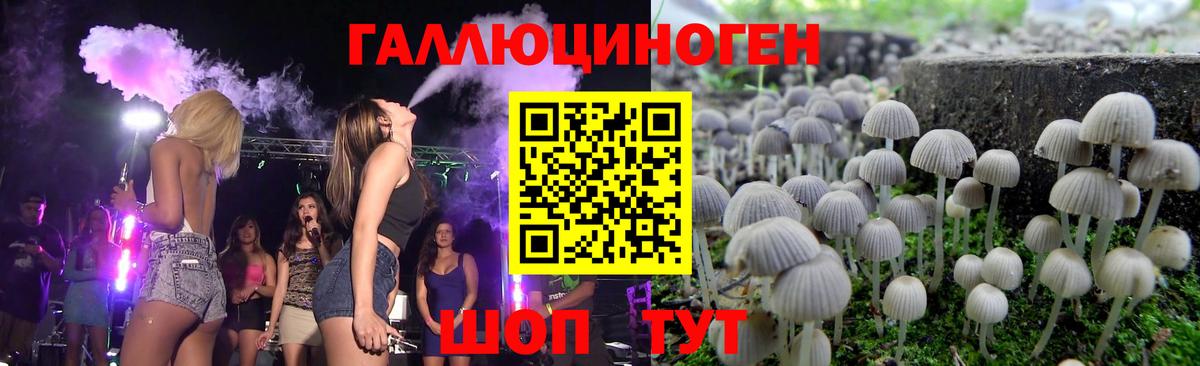 Воронеж  Псилоцибиновые грибы мухоморы  Вход с VPN  Галлюциногенные грибы мухоморы 